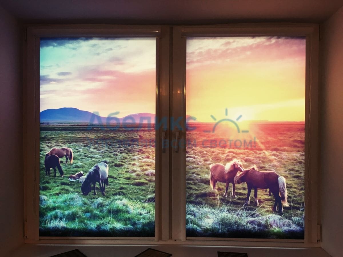 Фоторольшторы, Лошади на поле